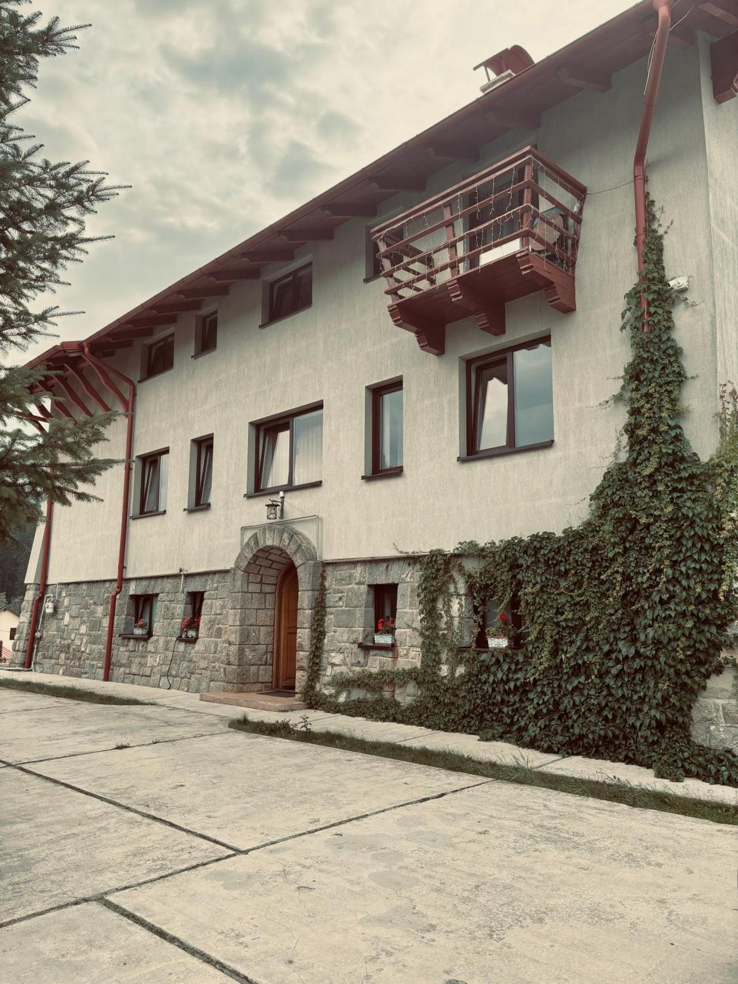 Pensiunea Atlantis Szászbuda Kültér fotó