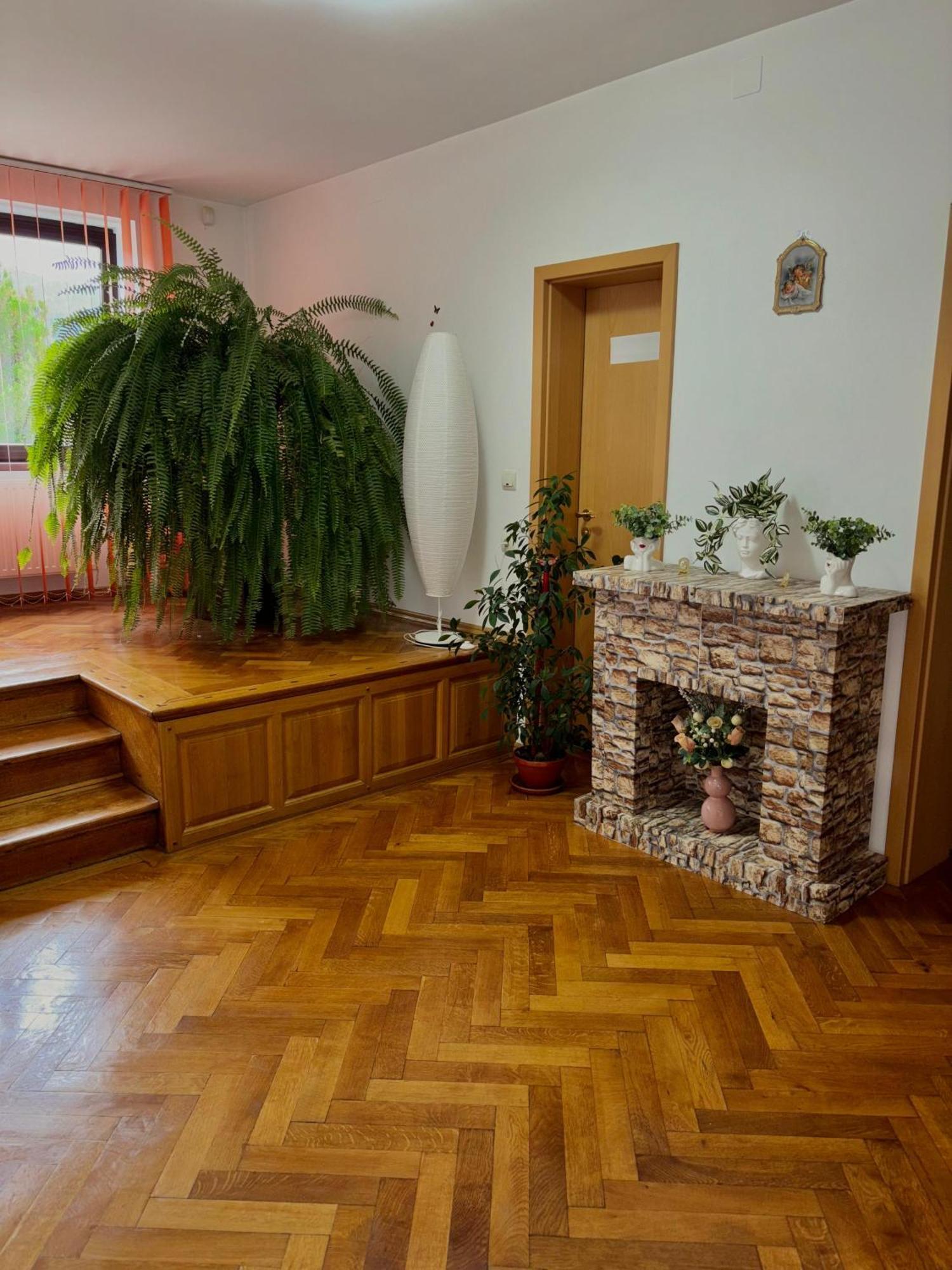 Pensiunea Atlantis Szászbuda Kültér fotó